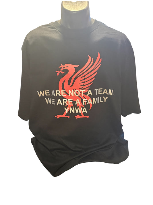 T-Shirt We are not a Team We are Family