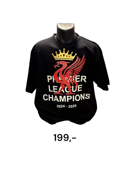 Premier League Champions