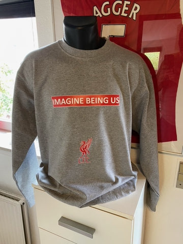 Hoodie IMAGINE BEING US